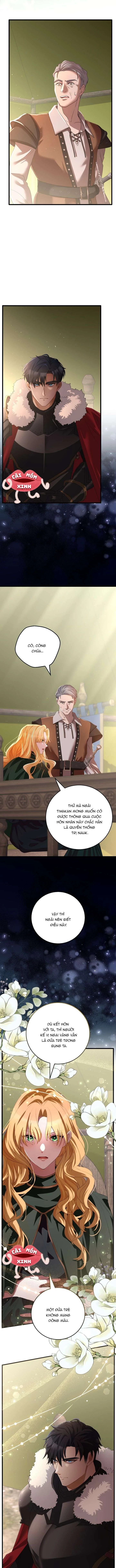 Lời Cầu Hôn Hoang Dã Chapter 1 - 27