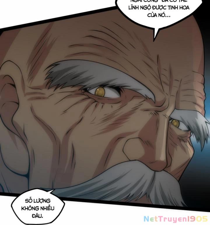 Đạp Toái Tiên Hà Chapter 338 - 48