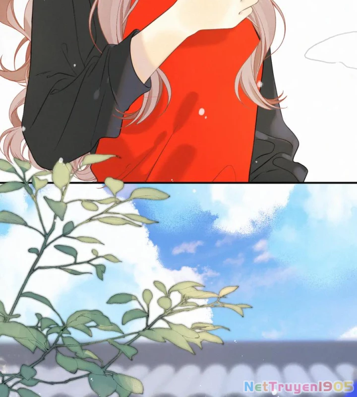 Lâu Tiểu Thư, Lại Gặp Nhau Rồi Chapter 154 - 56