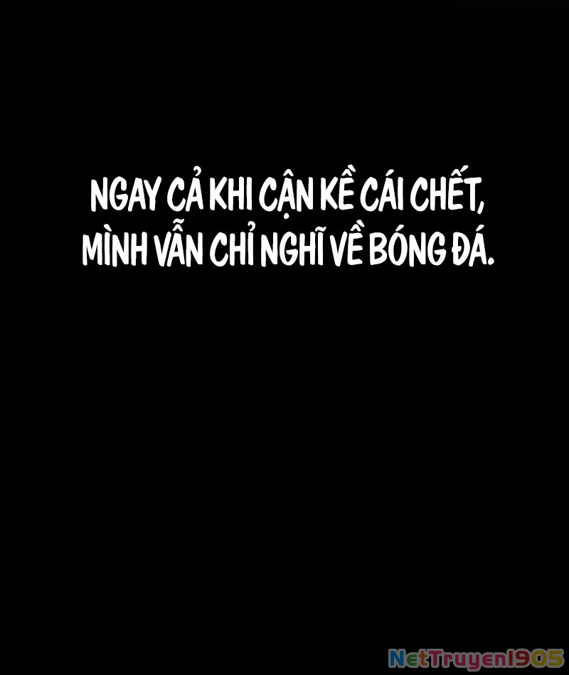 Đường Chuyền Đặc Biệt Của Tiền Vệ Thiên Tài Chapter 1 - 277