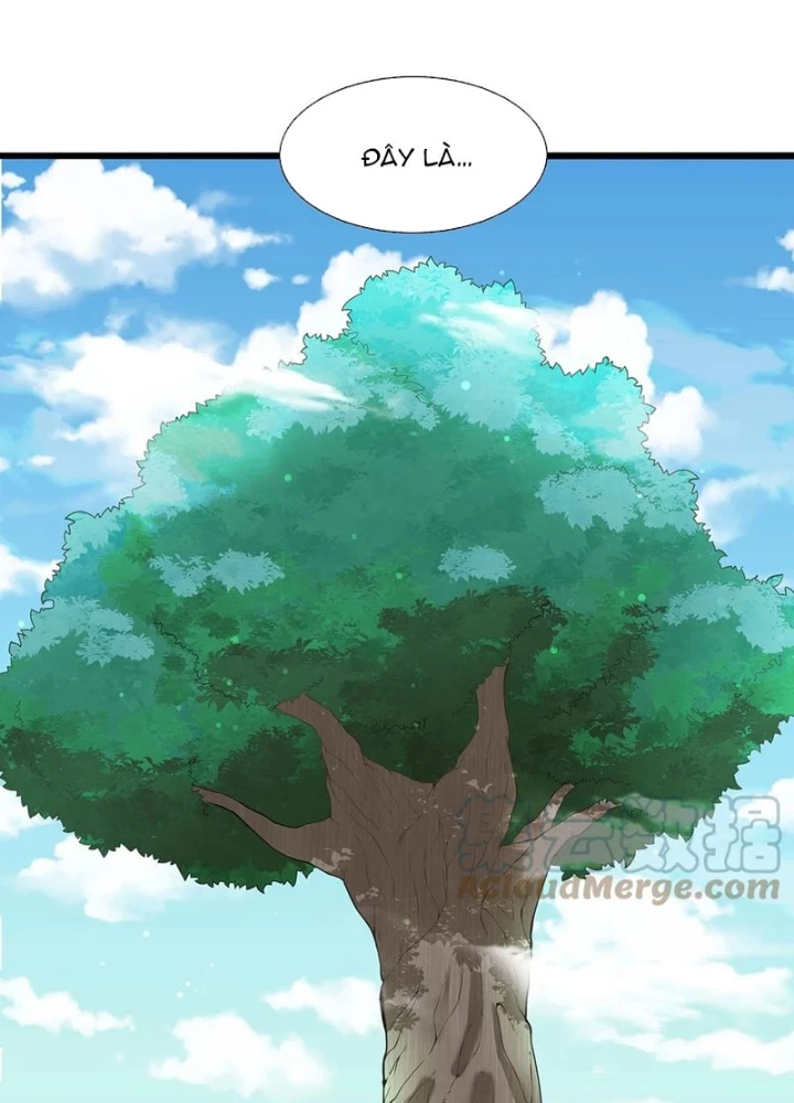 Sau Khi Độ Kiếp, Ta Biến Thành Bạch Cốt Ma Tôn Chapter 32 - 5
