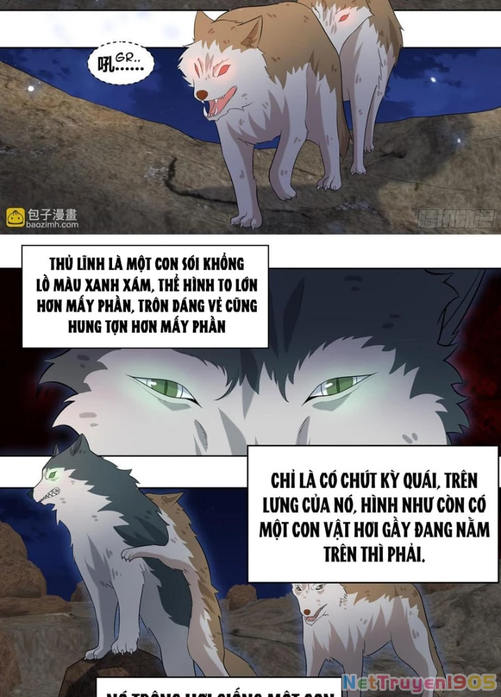 Trọng Sinh Thành Chó Của Nữ Thần Chapter 413 - 5