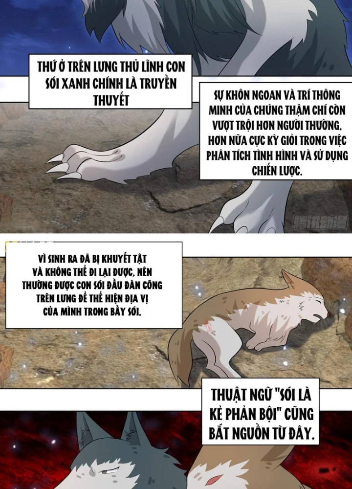Trọng Sinh Thành Chó Của Nữ Thần Chapter 413 - 11