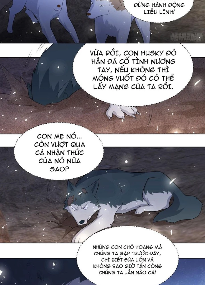 Trọng Sinh Thành Chó Của Nữ Thần Chapter 414 - 13