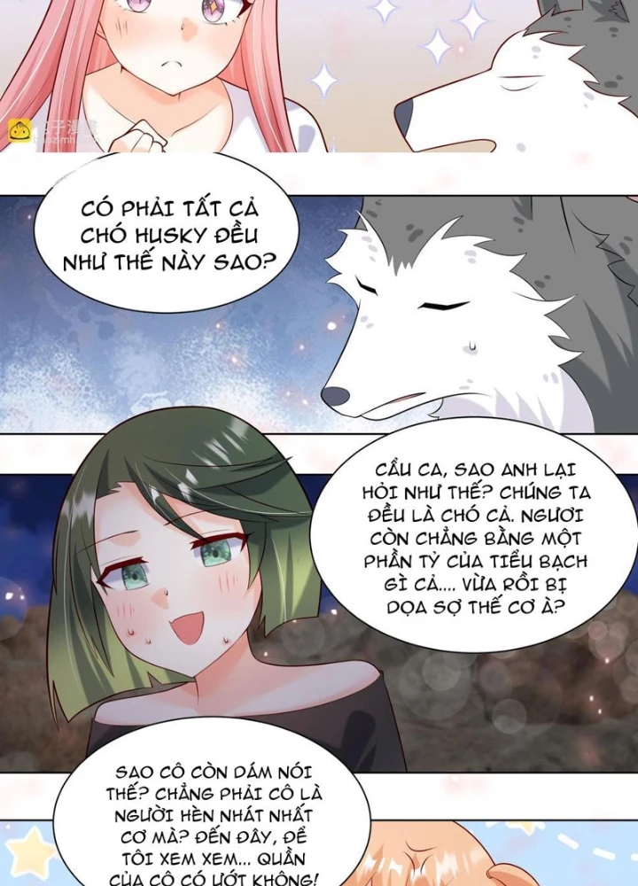 Trọng Sinh Thành Chó Của Nữ Thần Chapter 415 - 13