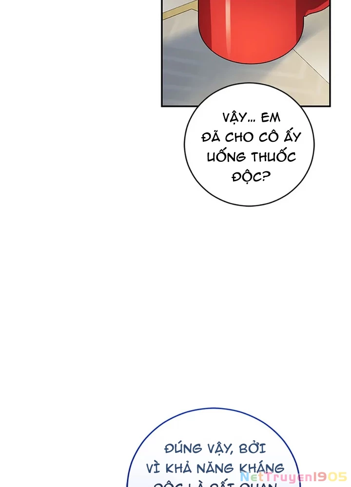 Anh Em Của Tôi Đều Là Nhân Vật Chính Chapter 61 - 113
