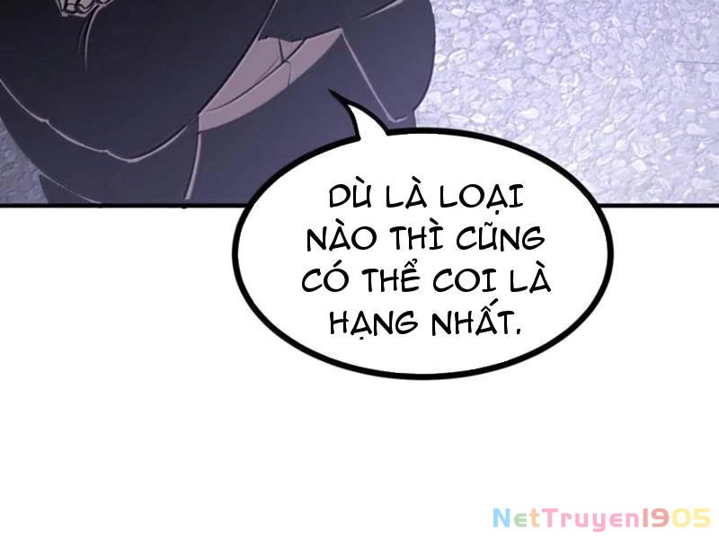Ta Nhặt Rác Thượng Vương Giả Chapter 77 - 57