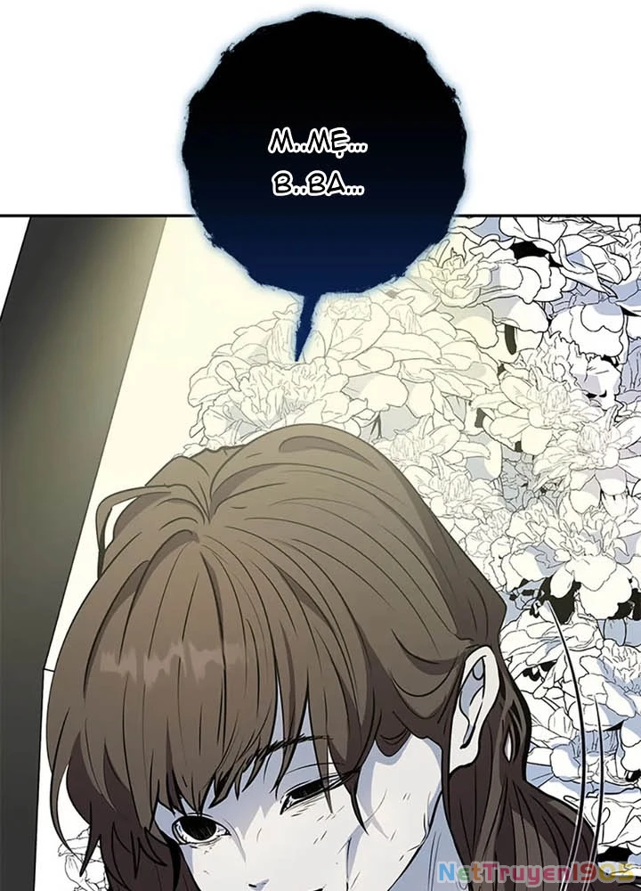 Anh Em Của Tôi Đều Là Nhân Vật Chính Chapter 67 - 15