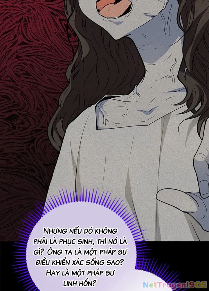 Anh Em Của Tôi Đều Là Nhân Vật Chính Chapter 67 - 48