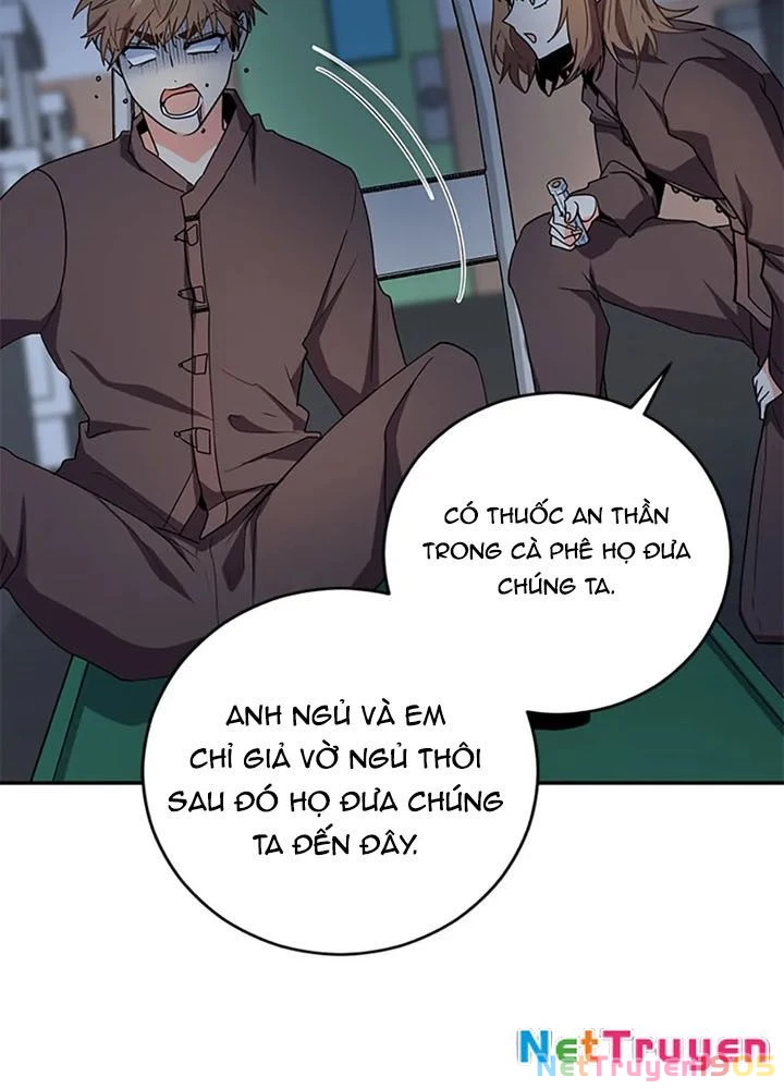 Anh Em Của Tôi Đều Là Nhân Vật Chính Chapter 67 - 96