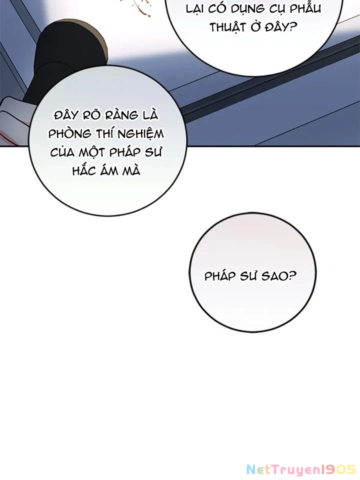 Anh Em Của Tôi Đều Là Nhân Vật Chính Chapter 67 - 100
