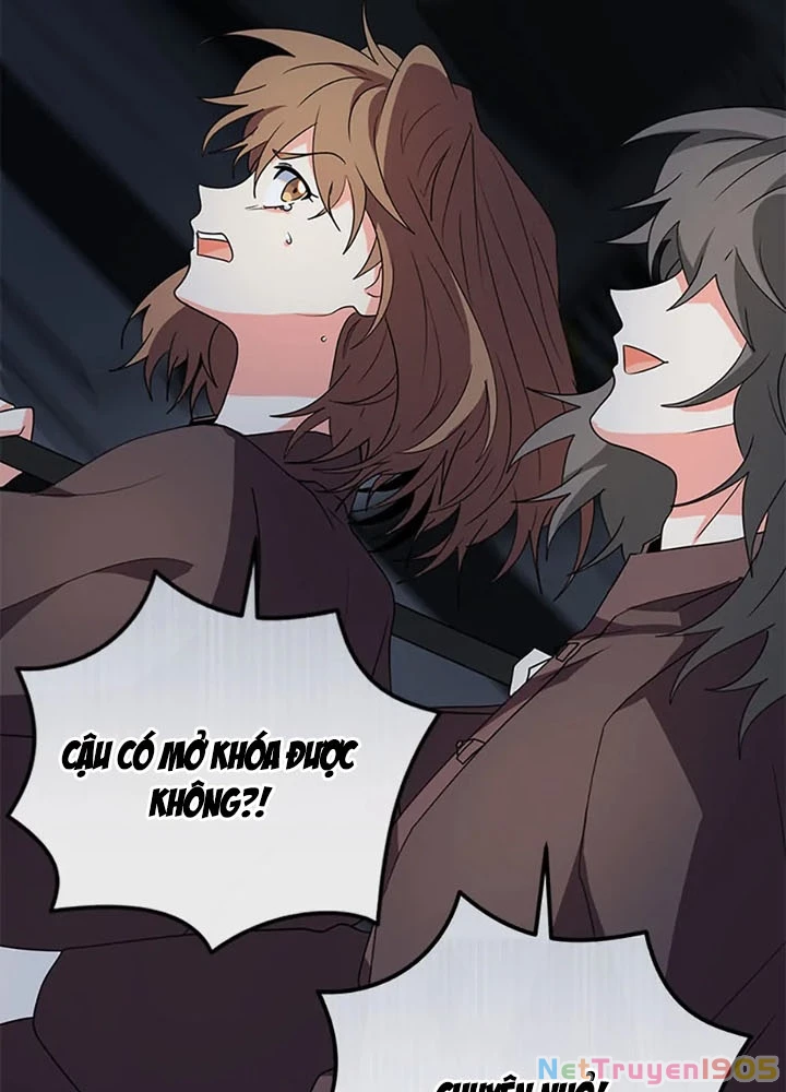 Anh Em Của Tôi Đều Là Nhân Vật Chính Chapter 68 - 72