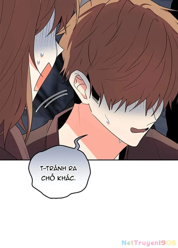 Anh Em Của Tôi Đều Là Nhân Vật Chính Chapter 68 - 85