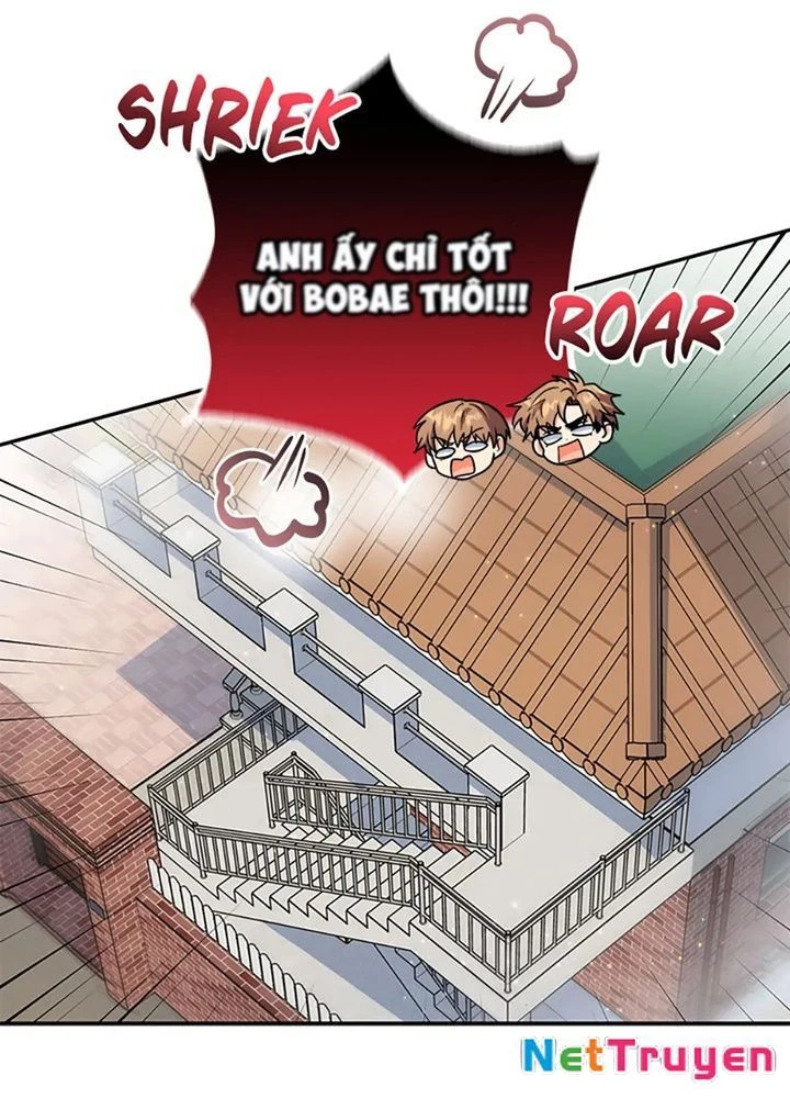 Anh Em Của Tôi Đều Là Nhân Vật Chính Chapter 70 - 56