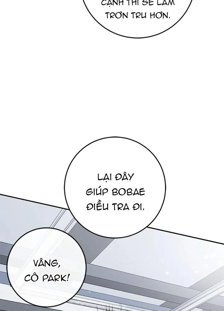 Anh Em Của Tôi Đều Là Nhân Vật Chính Chapter 71 - 104