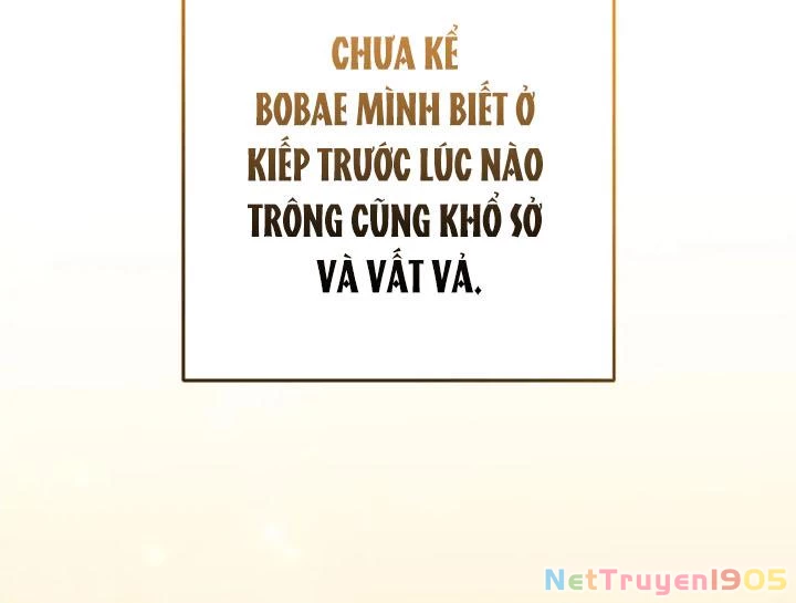 Anh Em Của Tôi Đều Là Nhân Vật Chính Chapter 74 - 8