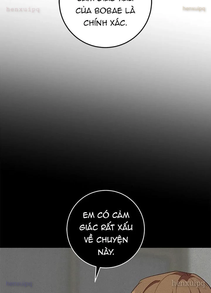 Anh Em Của Tôi Đều Là Nhân Vật Chính Chapter 75 - 59