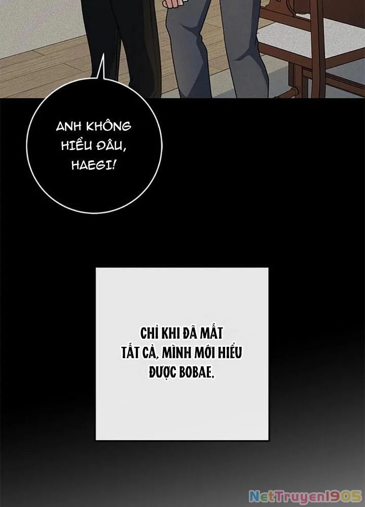 Anh Em Của Tôi Đều Là Nhân Vật Chính Chapter 77 - 73
