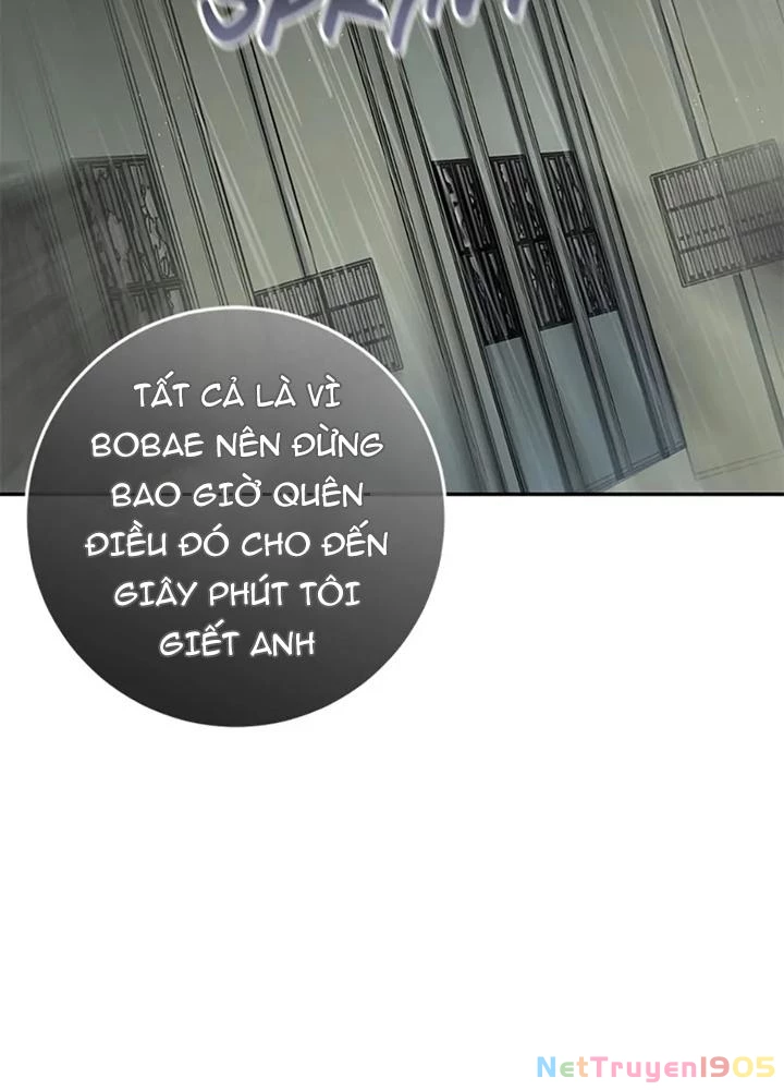 Anh Em Của Tôi Đều Là Nhân Vật Chính Chapter 78 - 38