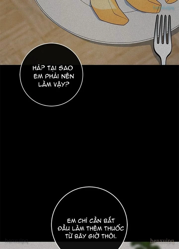 Anh Em Của Tôi Đều Là Nhân Vật Chính Chapter 79 - 94