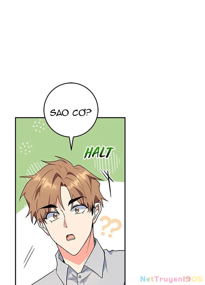 Anh Em Của Tôi Đều Là Nhân Vật Chính Chapter 80 - 50