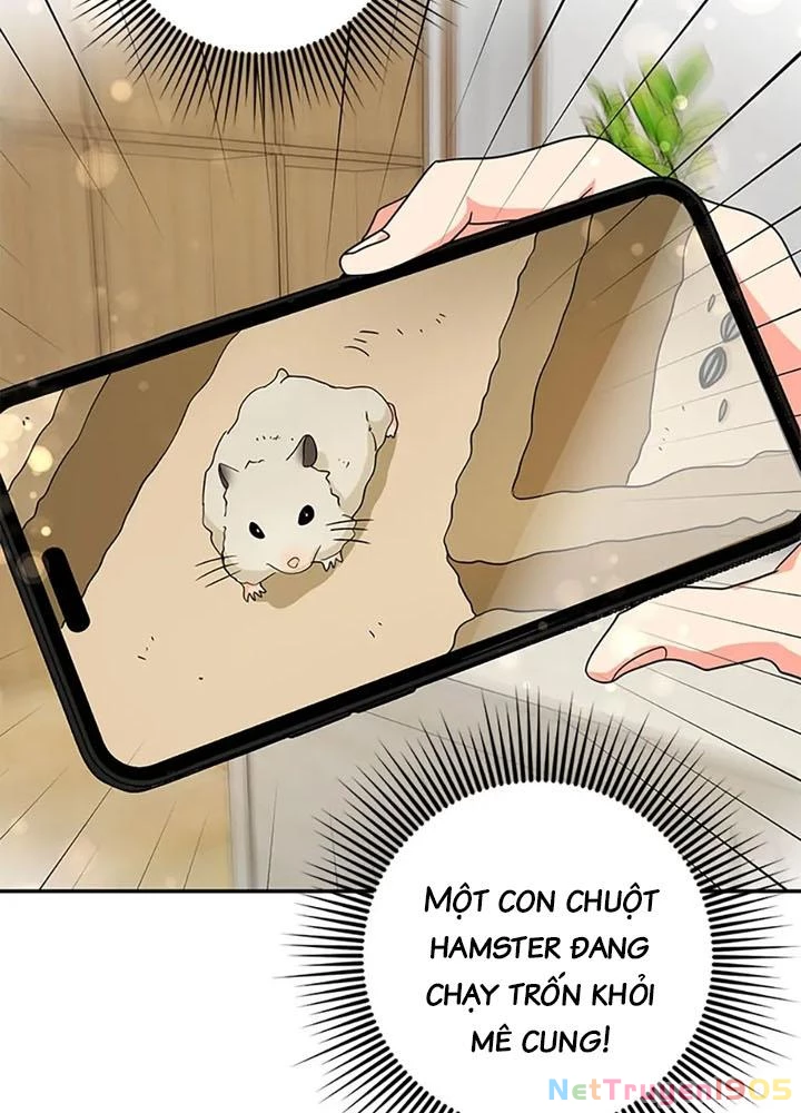 Anh Em Của Tôi Đều Là Nhân Vật Chính Chapter 80 - 85