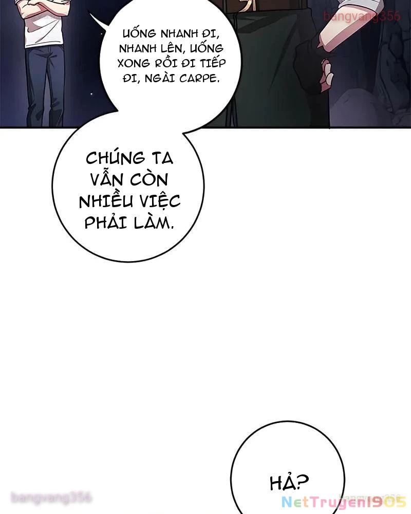 Tôi May Mắn Triệu Hồi Được Tinh Linh Hộ Vệ Hạng 10 Chapter 17 - 37