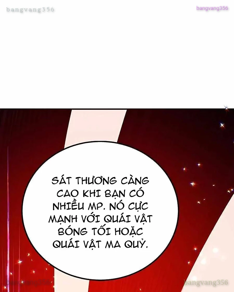 Tôi May Mắn Triệu Hồi Được Tinh Linh Hộ Vệ Hạng 10 Chapter 19 - 29