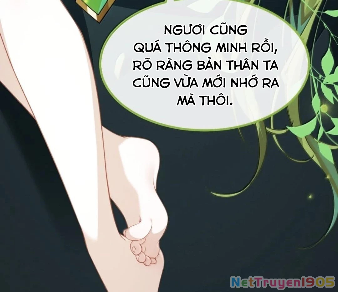 Vượt Cấp Xuyên Không, Tại Sao Tôi Lại Trở Thành Tiểu Thư Tu Sĩ? Chapter 49 - 135