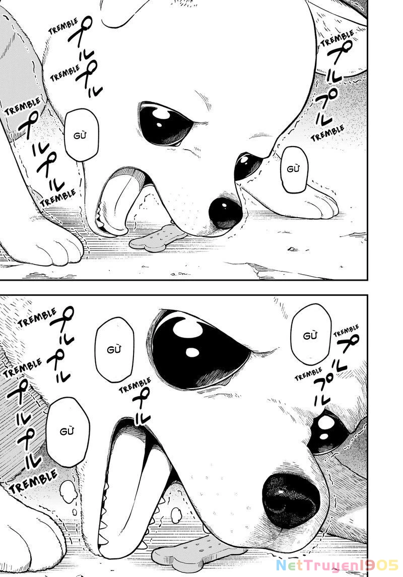 Đến Giờ "Thẩm Vấn" Rồi, Thưa Công Chúa! Chapter 123 - 10