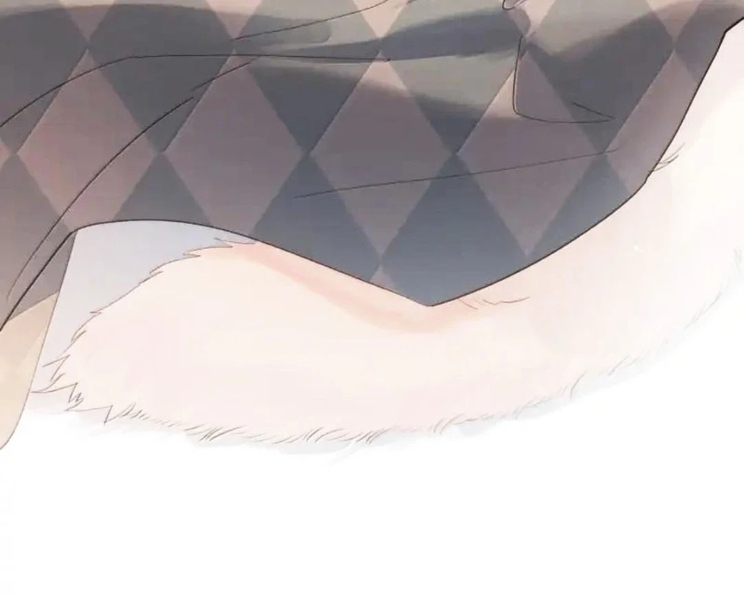 Sói Tiểu Thư Và Em Gái Hồ Ly Của Tôi Chapter 70.8 - 29