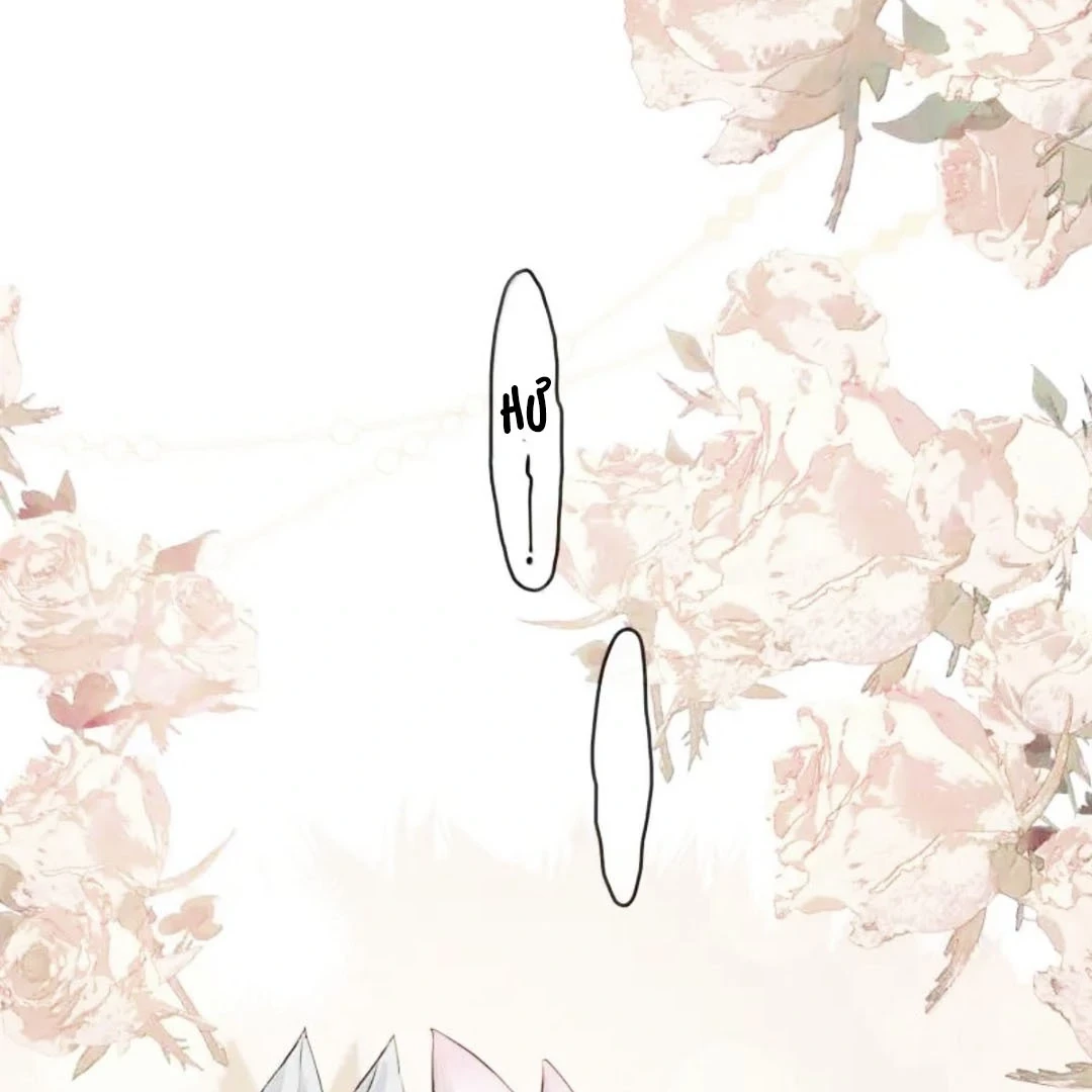 Sói Tiểu Thư Và Em Gái Hồ Ly Của Tôi Chapter 70.8 - 35