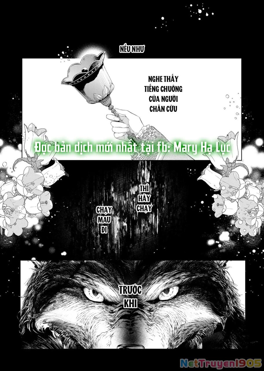 Sao Băng Ẩn Trong Hoa Chapter 29.1 - 3