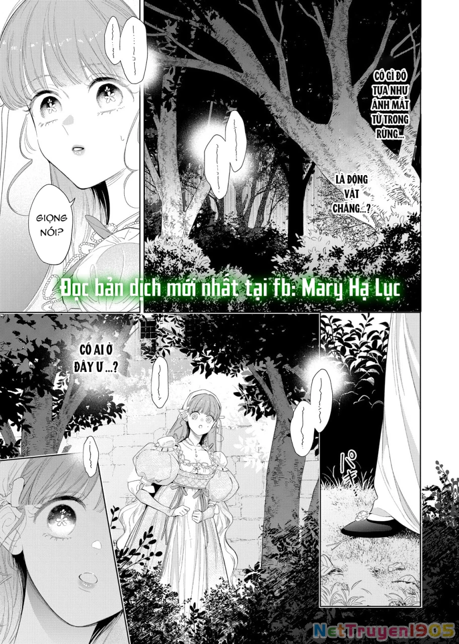 Sao Băng Ẩn Trong Hoa Chapter 29.1 - 7