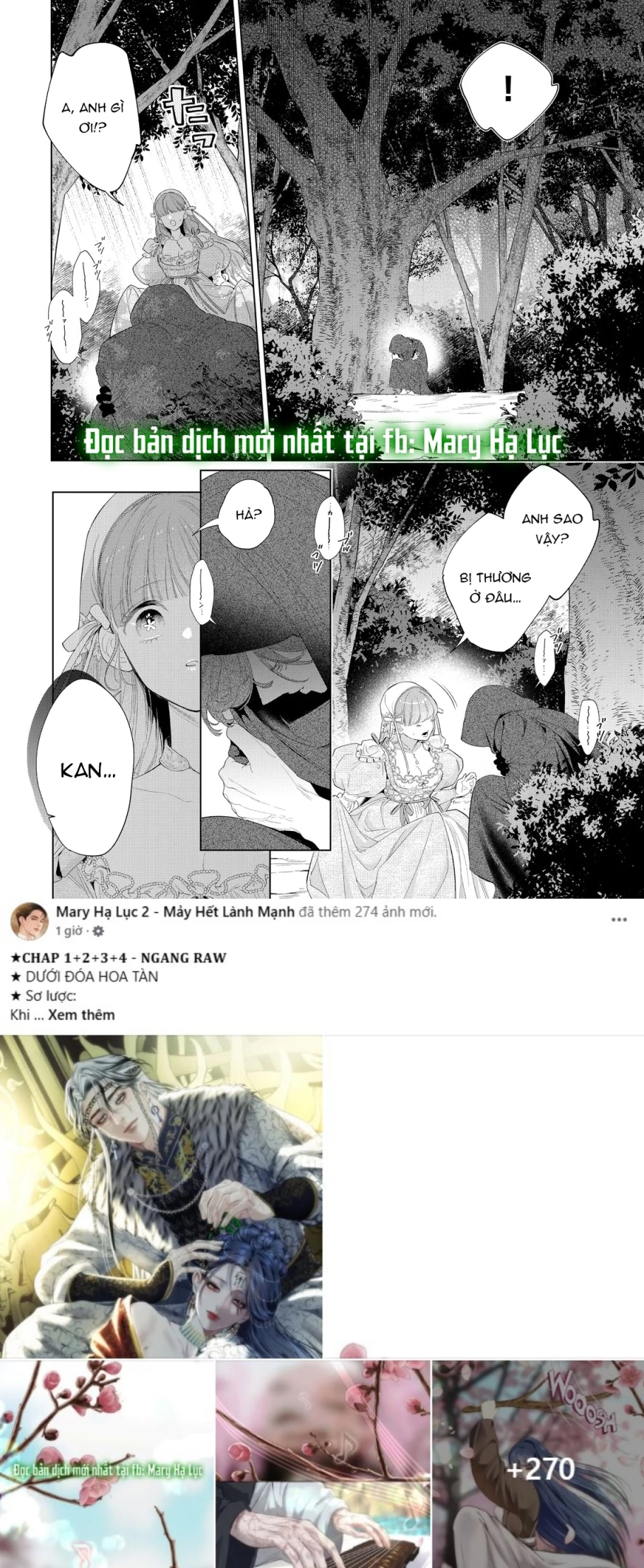 Sao Băng Ẩn Trong Hoa Chapter 29.1 - 8