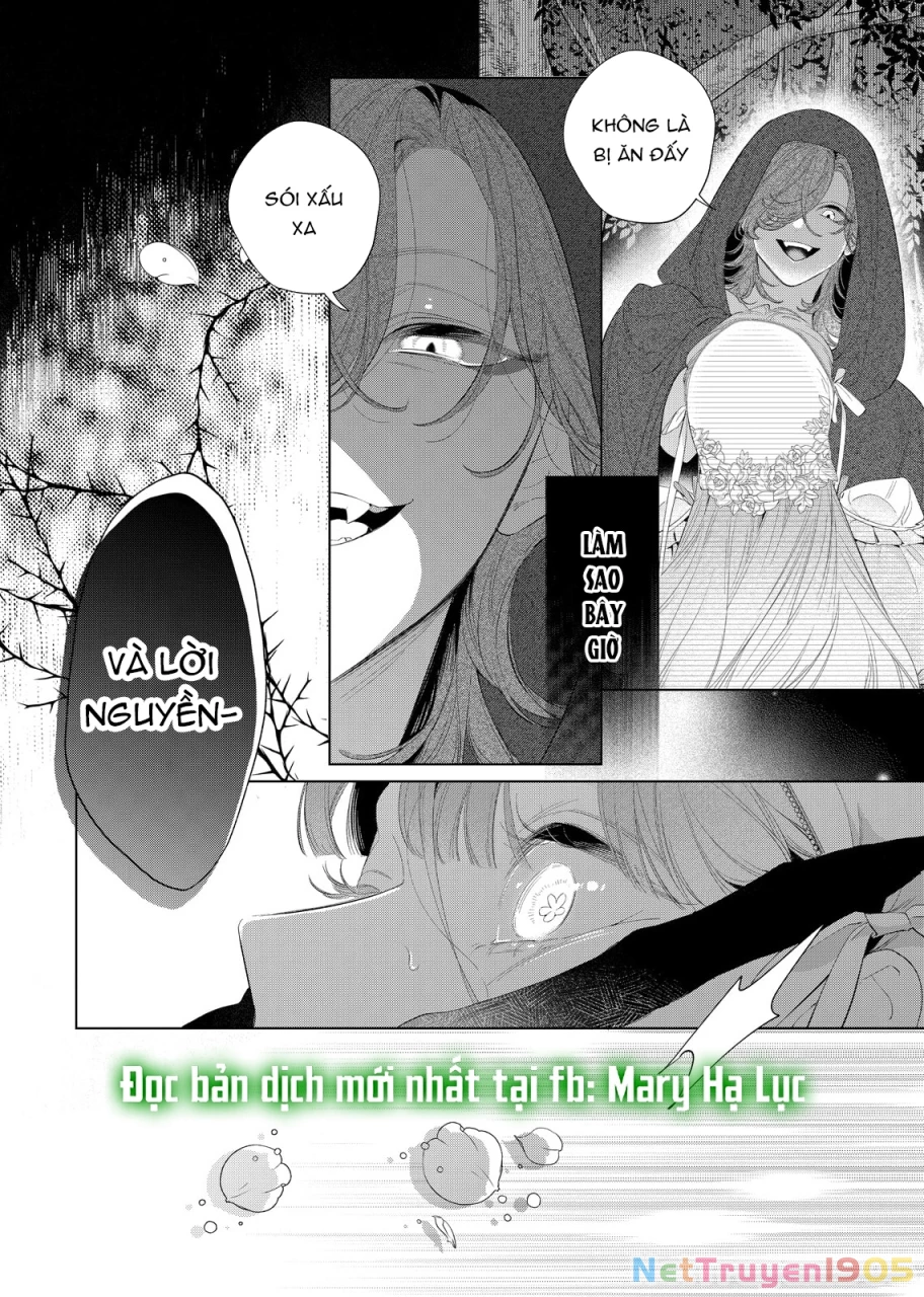 Sao Băng Ẩn Trong Hoa Chapter 29.1 - 12