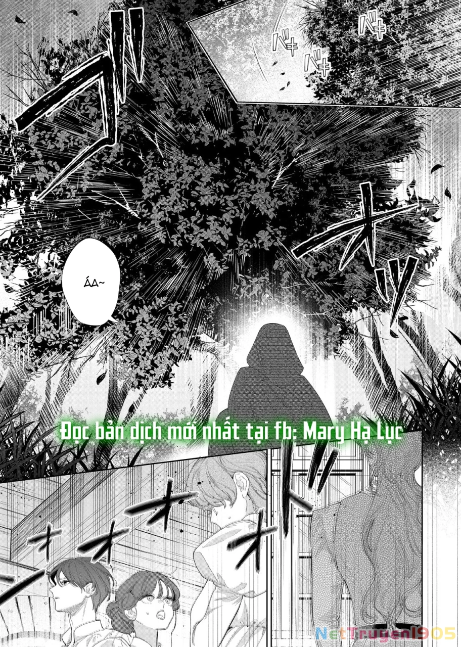 Sao Băng Ẩn Trong Hoa Chapter 29.1 - 17