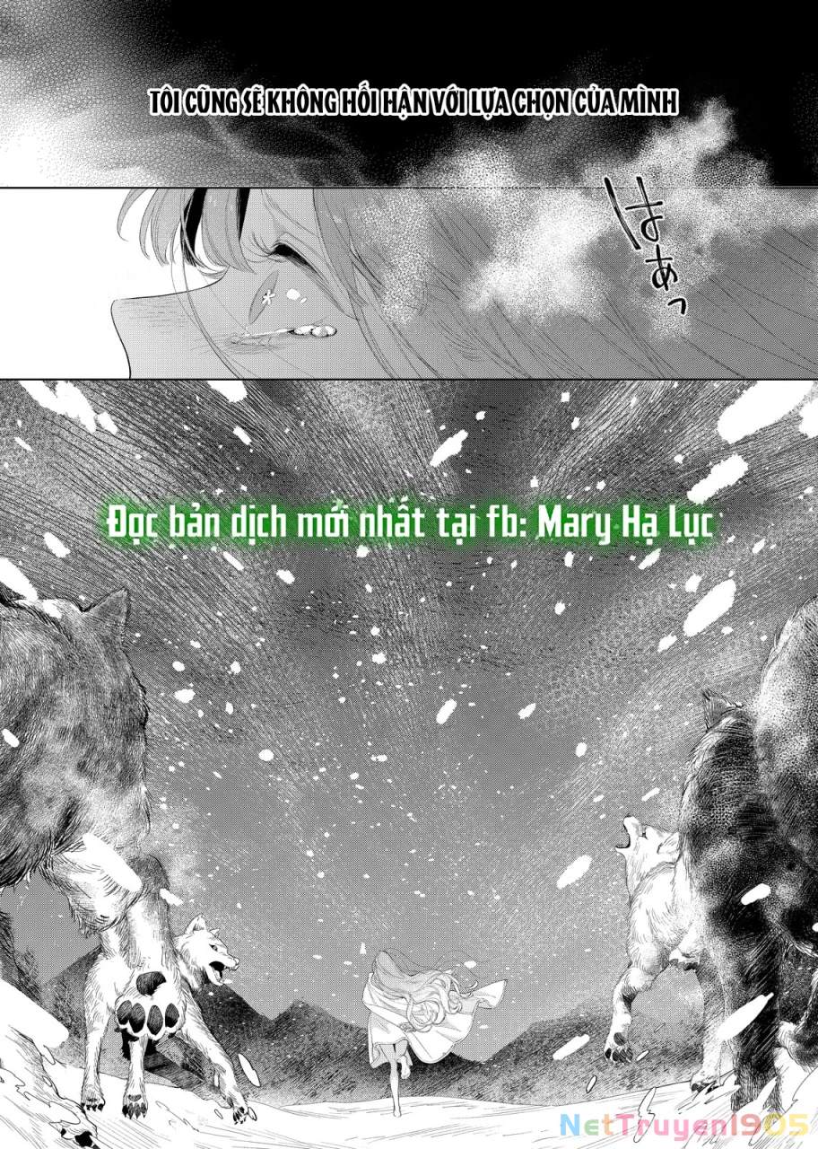 Sao Băng Ẩn Trong Hoa Chapter 29.2 - 16