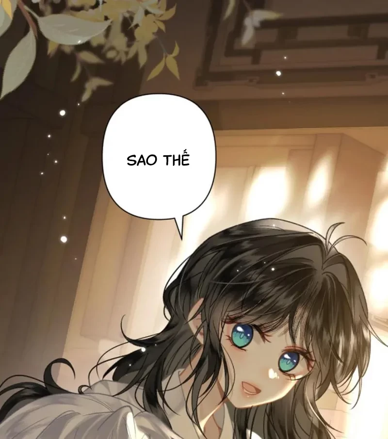 Đông Hải Tìm Mỹ Nhân Chapter 62 - 46