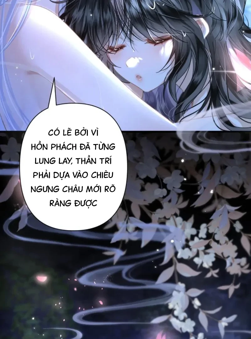 Đông Hải Tìm Mỹ Nhân Chapter 62 - 70