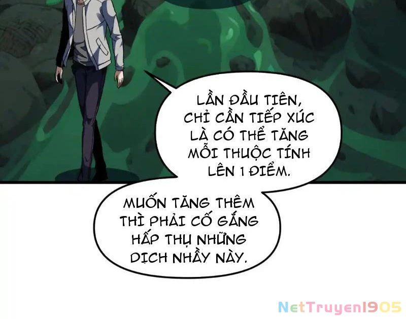 Hư Thực Chi Vương Chapter 28 - 28