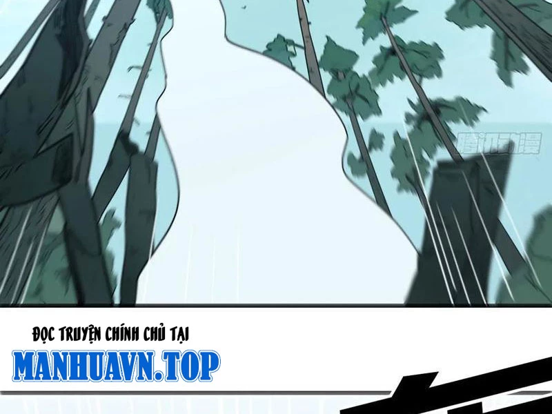 Sau Khi Đầu Thai, Ta Được Kẻ Thù Khắc Thành Vô Địch Chapter 11 - 37