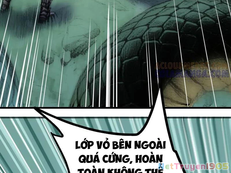 Sau Khi Đầu Thai, Ta Được Kẻ Thù Khắc Thành Vô Địch Chapter 11 - 44