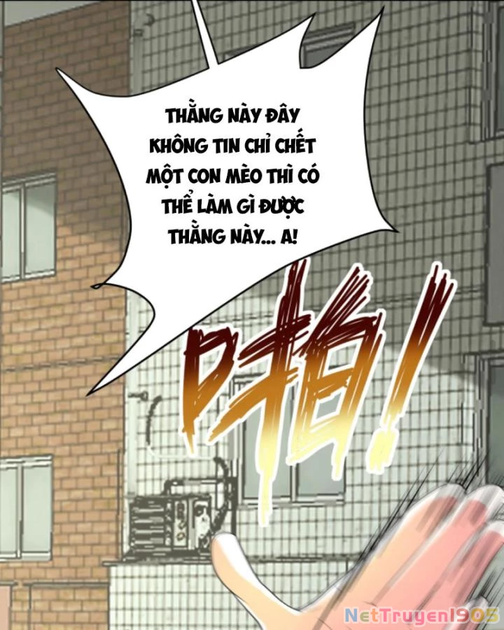 Ta Nói Tối Nay Vô Thần, Thế Là Chúng Thần Vẫn Lạc Chapter 80 - 47