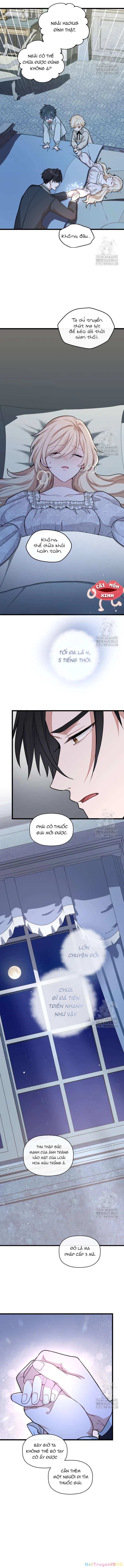 Bệ Hạ, Xin Hãy Quên Tôi Đi Chapter 15 - 8