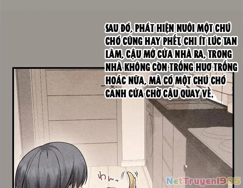 Thì Ra Ta Là Yêu Nhị Đại Chapter 22 - 47