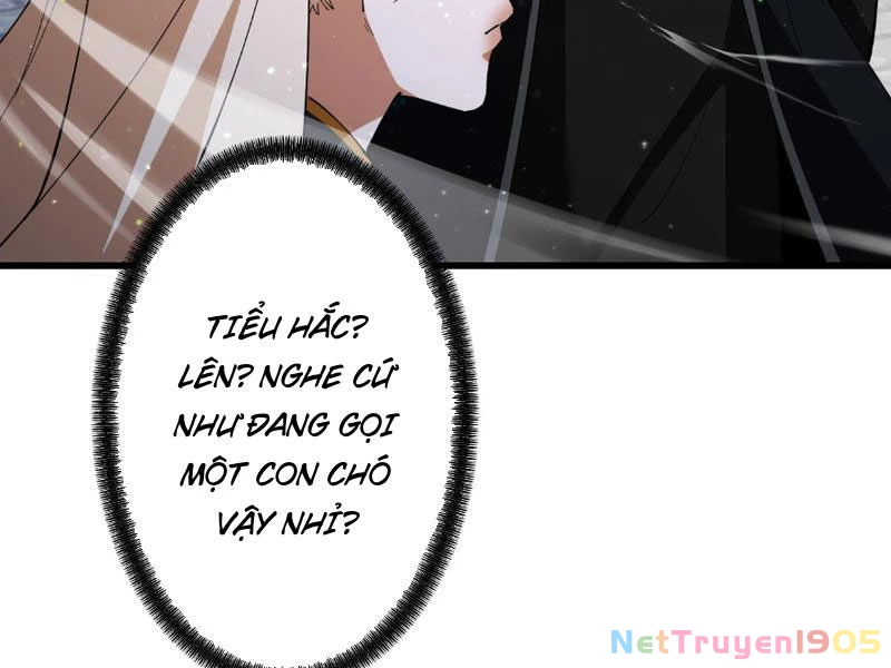 Gặp Mạnh Thì Mạnh, Ta Tu Vi Vô Thượng Hạn Chapter 68 - 49