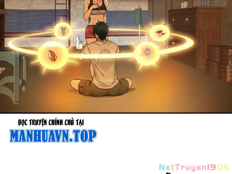 Chuyển Sinh Thành Tra Nam, Ta Giúp Thê Tử Trường Sinh Chapter 31 - 8