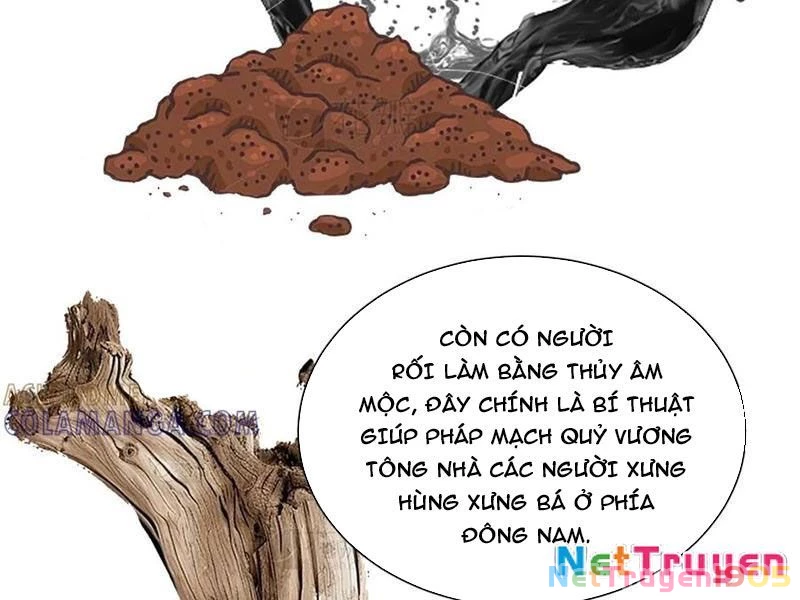 Chuyển Sinh Thành Tra Nam, Ta Giúp Thê Tử Trường Sinh Chapter 31 - 61