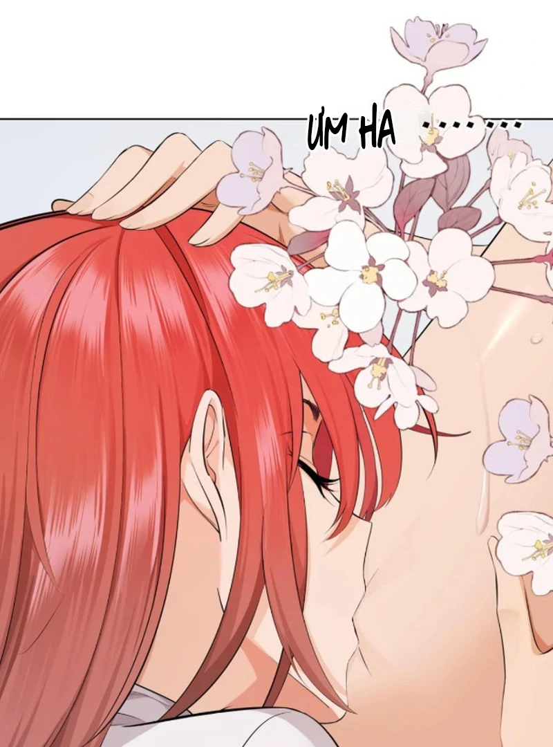 Đại Lão, Đầu Cô Lại Rớt Rồi Kìa! Chapter 17 - 13